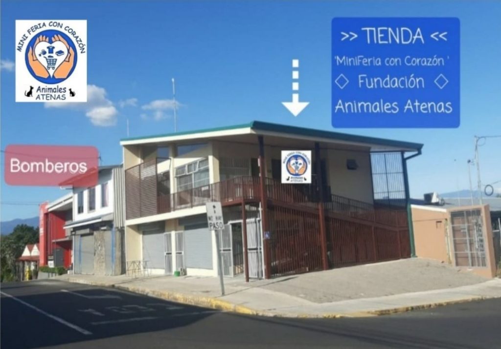 Mini Feria con Corazón